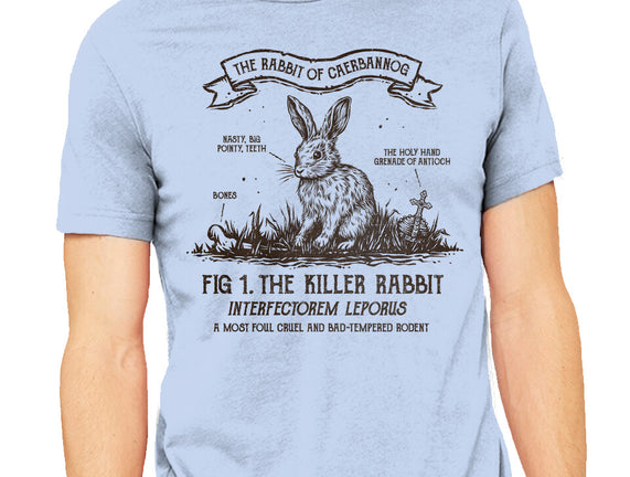 The Rabbit Of Caerbannog