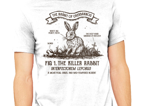 The Rabbit Of Caerbannog