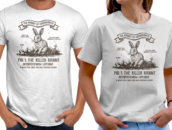 The Rabbit Of Caerbannog