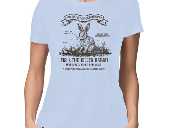 The Rabbit Of Caerbannog