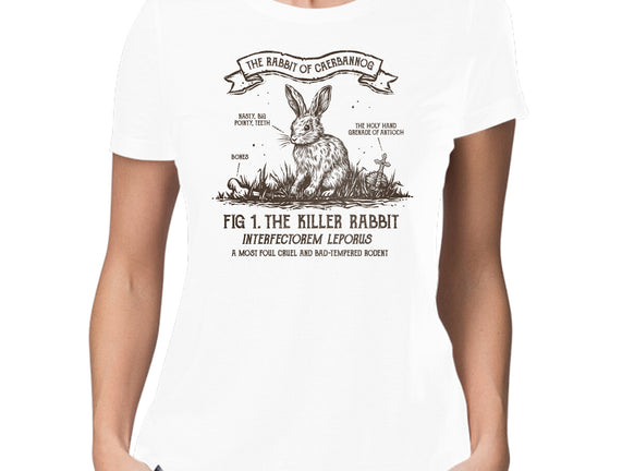 The Rabbit Of Caerbannog