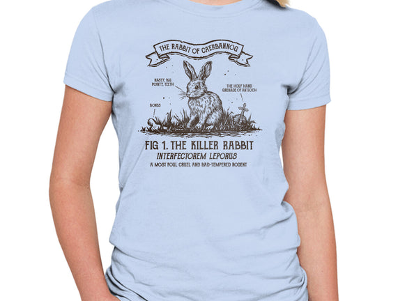 The Rabbit Of Caerbannog