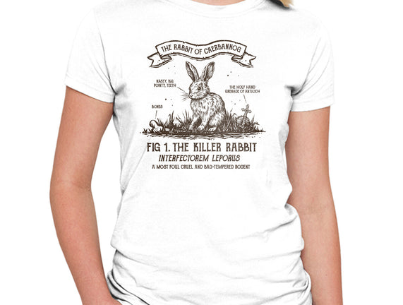 The Rabbit Of Caerbannog