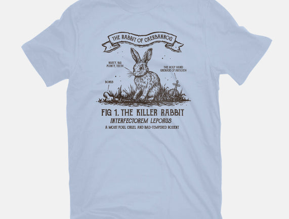 The Rabbit Of Caerbannog