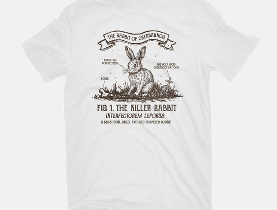 The Rabbit Of Caerbannog