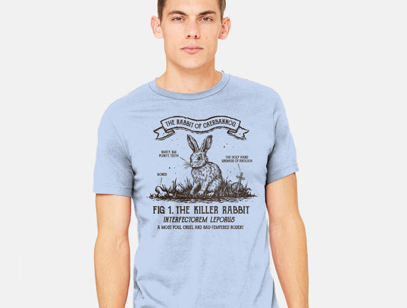 The Rabbit Of Caerbannog