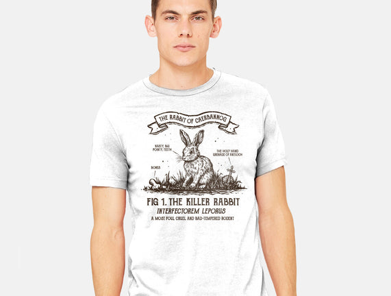 The Rabbit Of Caerbannog