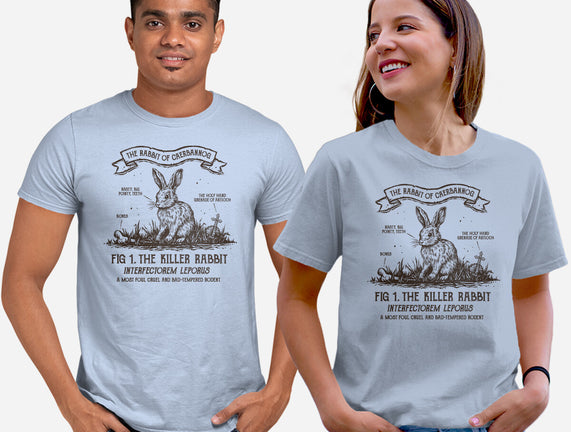 The Rabbit Of Caerbannog