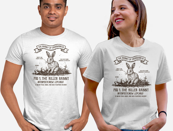 The Rabbit Of Caerbannog