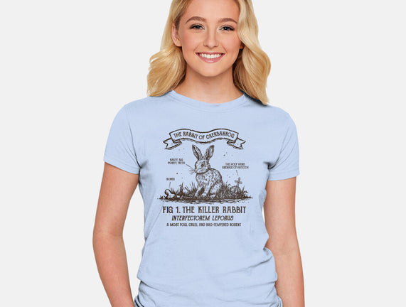 The Rabbit Of Caerbannog