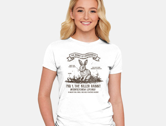 The Rabbit Of Caerbannog
