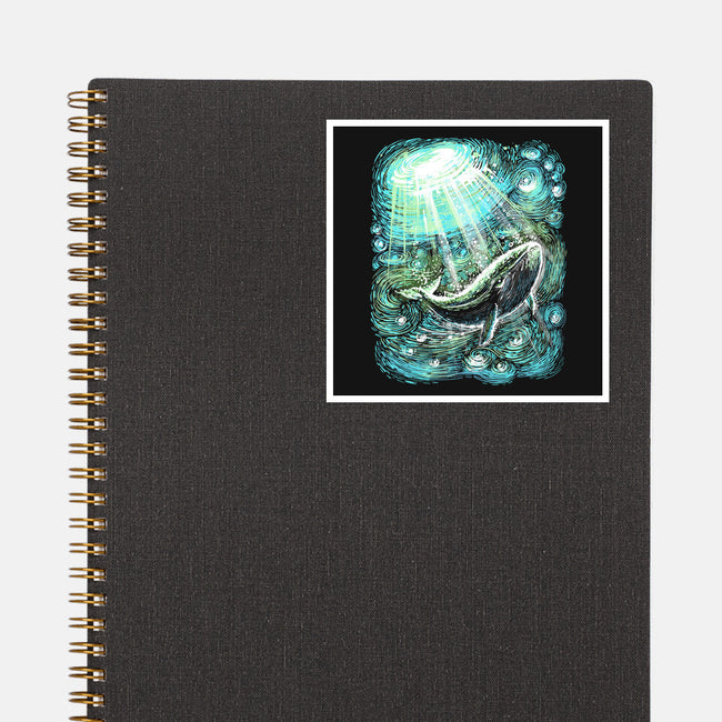Starry Whale-None-Glossy-Sticker-zascanauta