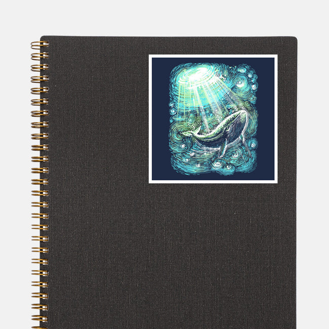 Starry Whale-None-Glossy-Sticker-zascanauta