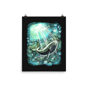 Starry Whale