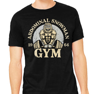 Abdominal Snowman Gym