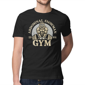 Abdominal Snowman Gym