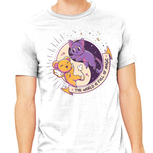 Moon Captor