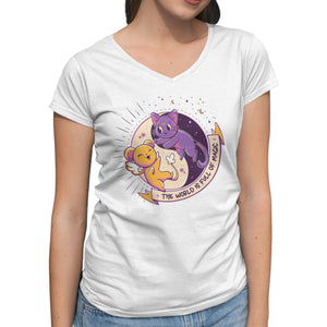 Moon Captor