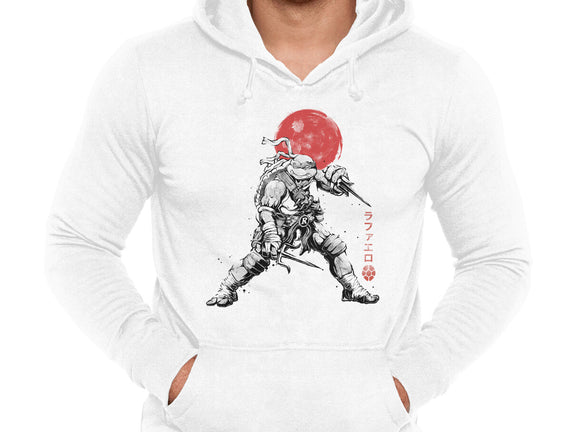 Ninja Raphael Sumi-E