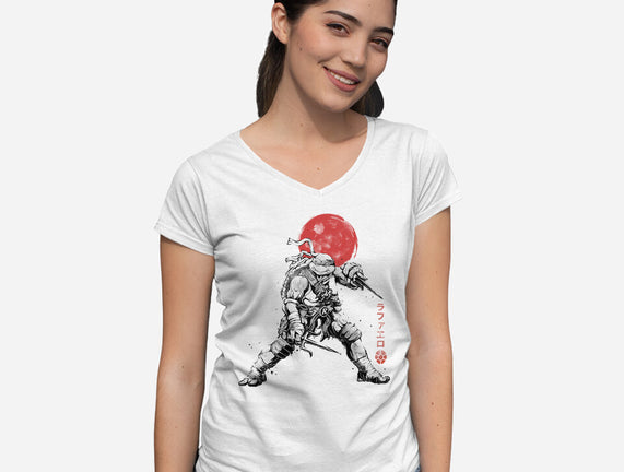 Ninja Raphael Sumi-E