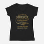 Grant Me The Serenity-Womens-V-Neck-Tee-kg07