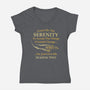 Grant Me The Serenity-Womens-V-Neck-Tee-kg07