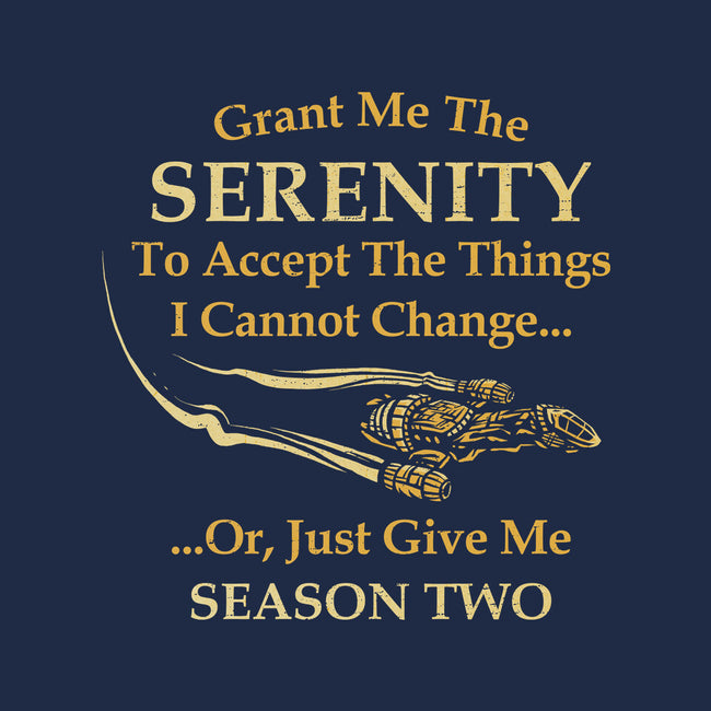 Grant Me The Serenity-Womens-V-Neck-Tee-kg07
