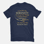 Grant Me The Serenity-Womens-Basic-Tee-kg07