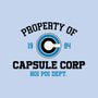 Property Of Capsule Corp-Mens-Basic-Tee-Melonseta