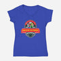Beertendo-Womens-V-Neck-Tee-sebasebi
