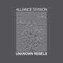 Alliance Division-Mens-Premium-Tee-DrMonekers