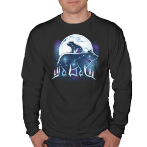 Ursa Constellation