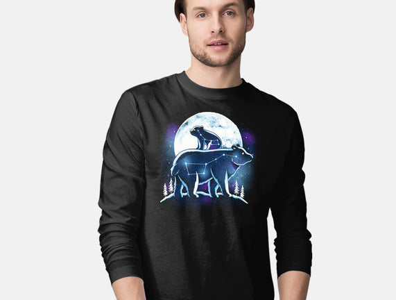 Ursa Constellation