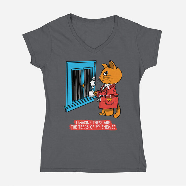 Thoughts On A Rainy Day-Womens-V-Neck-Tee-imisko