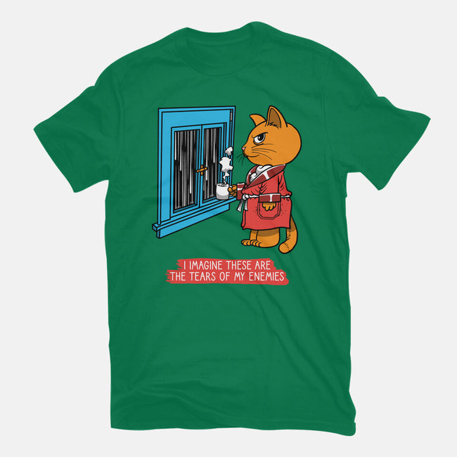 Thoughts On A Rainy Day-Womens-Fitted-Tee-imisko