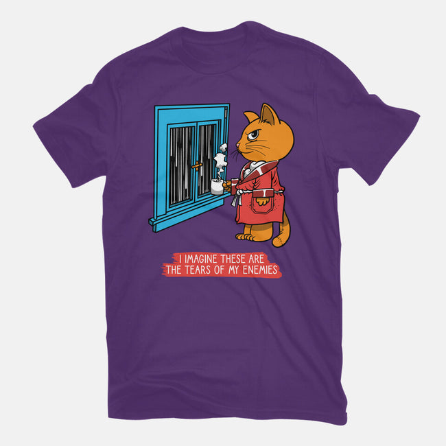 Thoughts On A Rainy Day-Womens-Fitted-Tee-imisko