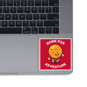 Born For Adventure