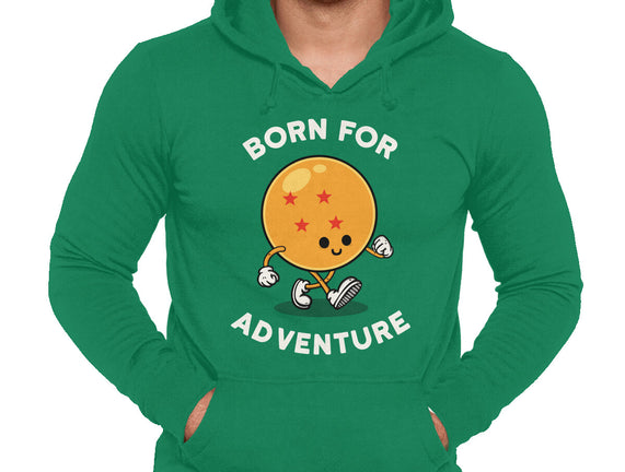 Born For Adventure
