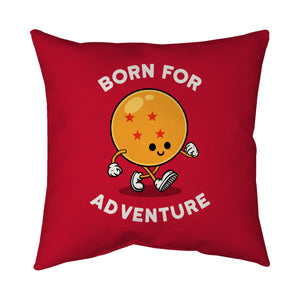 Born For Adventure