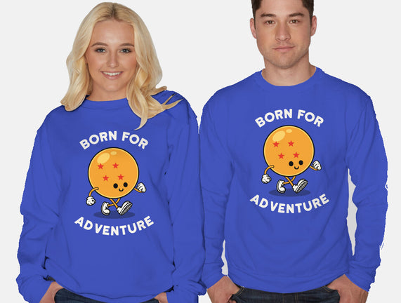 Born For Adventure