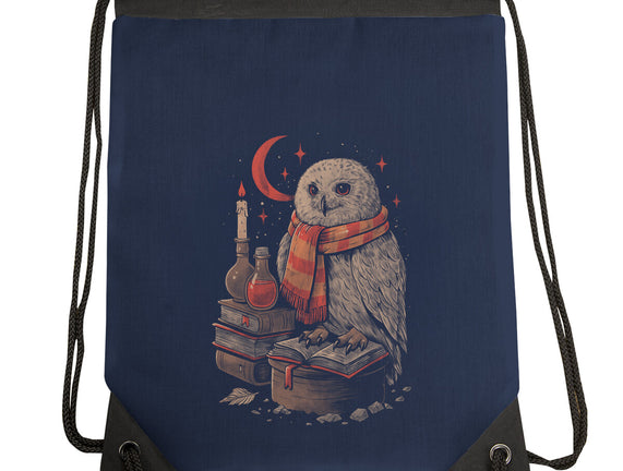 Mystic Owl
