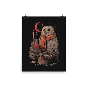 Mystic Owl