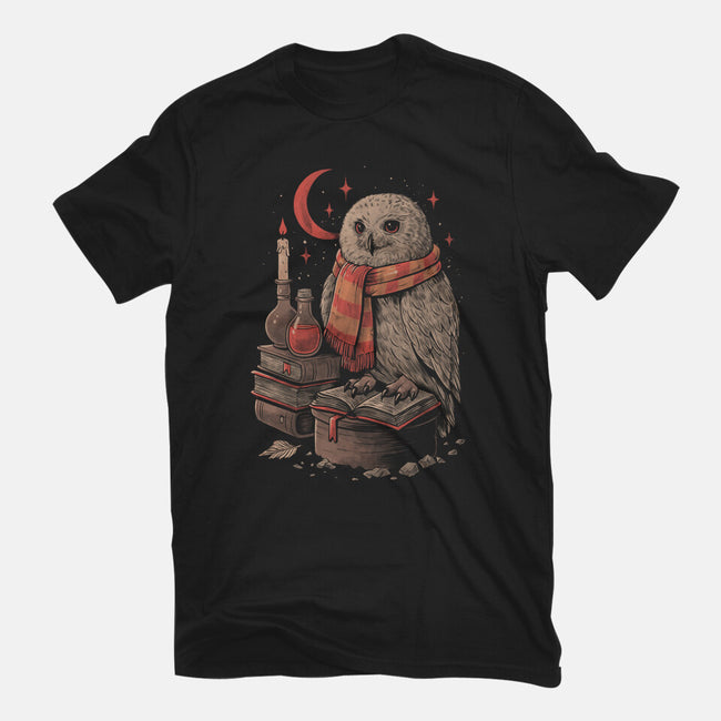 Mystic Owl-Mens-Heavyweight-Tee-eduely