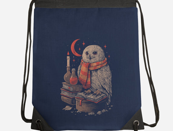 Mystic Owl