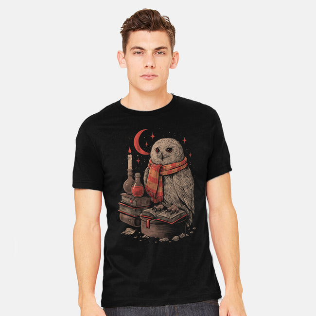Mystic Owl-Mens-Heavyweight-Tee-eduely
