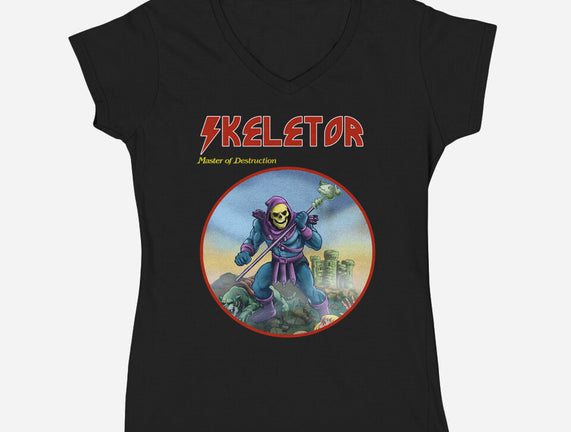 Skeletor Master Of Destruction