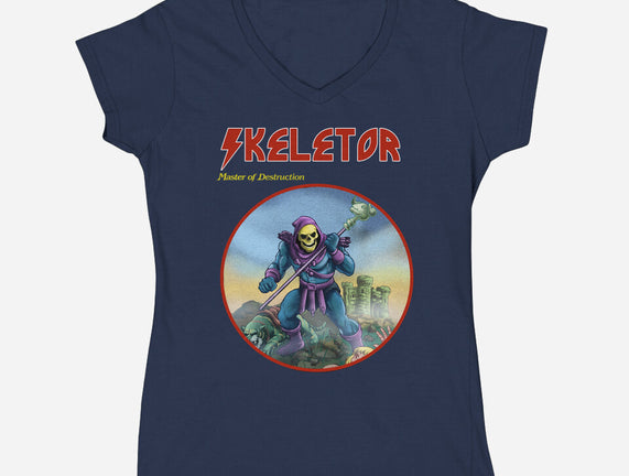 Skeletor Master Of Destruction