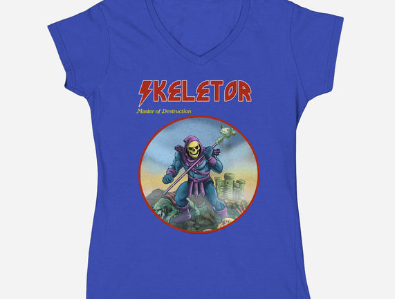 Skeletor Master Of Destruction
