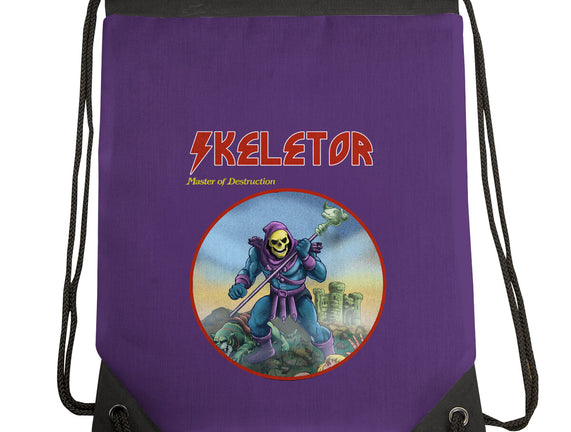 Skeletor Master Of Destruction