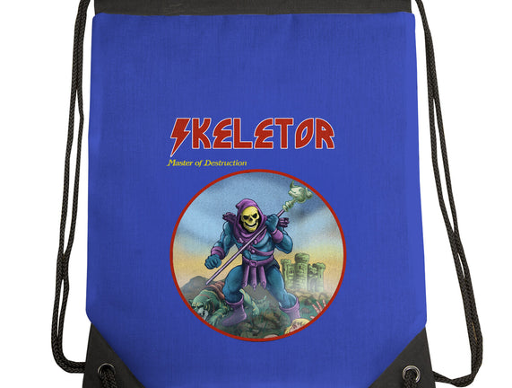 Skeletor Master Of Destruction
